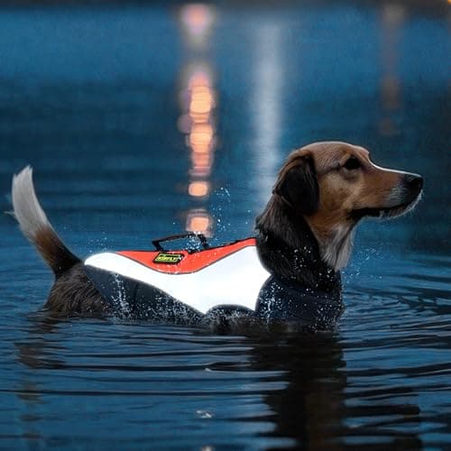 Dog Life Jacket for Swimming & Boating, High Buoyancy Dog Life Vest with Rescue Handle, Reflective Adjustable Dog Flotation Device for Pool, Lake & Kayaking, Secure Fit Pet Swim Vest (M, Orange)