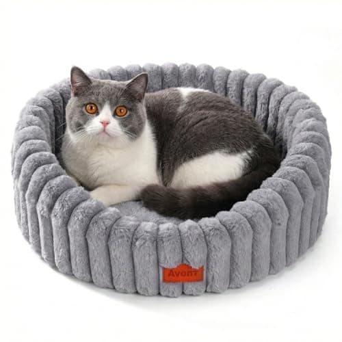 Avont Cat Bed for Indoor Cats, Fluffy Washable with Raised Rim