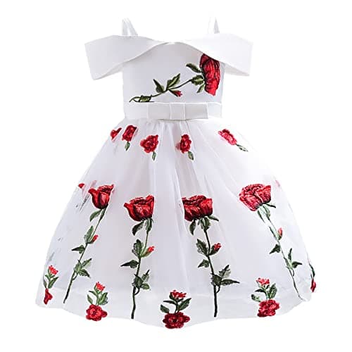 NSSMWTTC Girls Special Occasion Dresses Wedding Bridesmaid Christmas Flowers Embroidery Ball Gown Dress (2910 White,120)