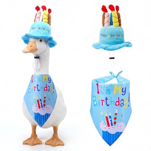 FNANJWQ Happy Birthday Goose Outfit Porch, Lawn Goose Cloth Costume
