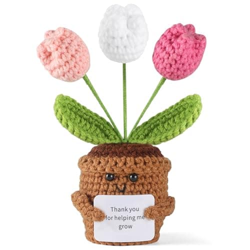 Aeekkya Emotional Support Crochet Tulip Gift, Positive Handmade Crochet Flowers, Thank You Gifts, Teacher Appreciation Gifts, Inspirational Gift for Women, Mom, Friend, Christmas, Birthday, Graduation