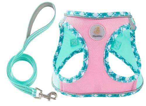Hipubby Dog Harness Small Sized and Leash Set, No Pull Soft Mesh Puppy Vest, Reflective Breathable Lightweight Pet Harness, Harness for Small Medium Dogs and Cats - Pink Green, XS