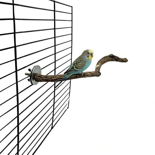 Bird Perches for Cage 1PCS Parrot Perch Wooden Bird Stand Cage Accessories for Budgies Cockatiels Finches Lovebirds Parakeet (Burlywood, 1 PCS)