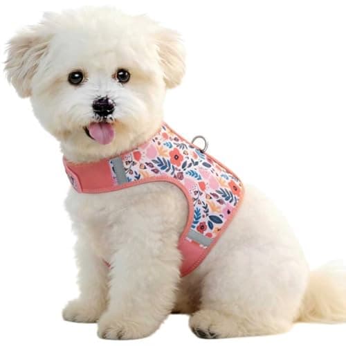 Sunraymascota Dog Harness Cat Puppy Vest for Small Sized Pet