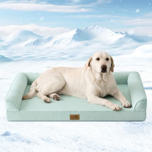 COZY KISS Cooling Dog Bed for Large Dogs, 42"x30" Orthopedic Foam Sofa with Bolster Sides, Q-Max >0.4 Cooling Technology, Cool Pet Bed with Removable Washable Cover, Green