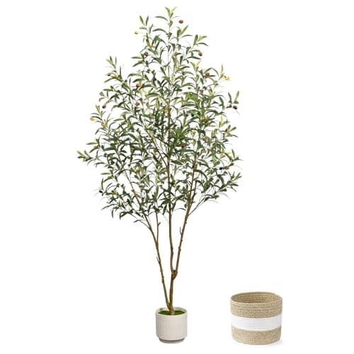 LuceAlberi Artificial Olive Tree 6FT - Tall Faux Olive Trees Indoor with Planter&Cotton Basket, Large Fake Olive Plants Realistic Branches Natural Wood Trunk and Fruits for Home House Office Decor