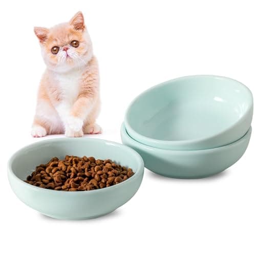 Howise 5.3 in Ceramic Cat Dishes - Shallow Food Bowls for Small Pets, 3 Pack for Food and Water -Light Blue