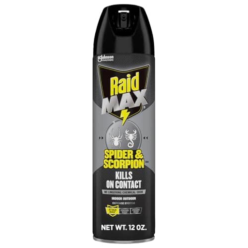 Raid MAX Spider & Scorpion Insect Killer Spray, 12 oz