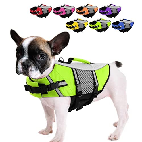 Queenmore Dog Life Jacket - Medium Float Vest for Swimming Boating Kayaking