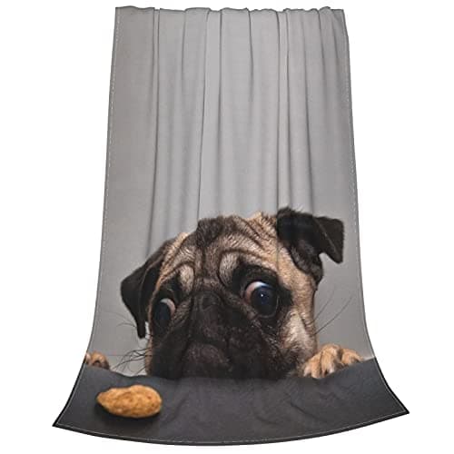 Dog Pug Fleece Throw Blanket Soft Lightweight Warm Cozy Plush Blanket for Men Women Couch Bed Sofa 80"X60"