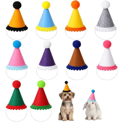 Dplolng 10 Pcs Party Hats for Stuffed Animals,Colorful Mini Birthday Hats for Stuffed Animals Party Hat with Adjustable Elastic Cord Felt Cone Birthday Hat for Cats Dogs Puppies Dolls