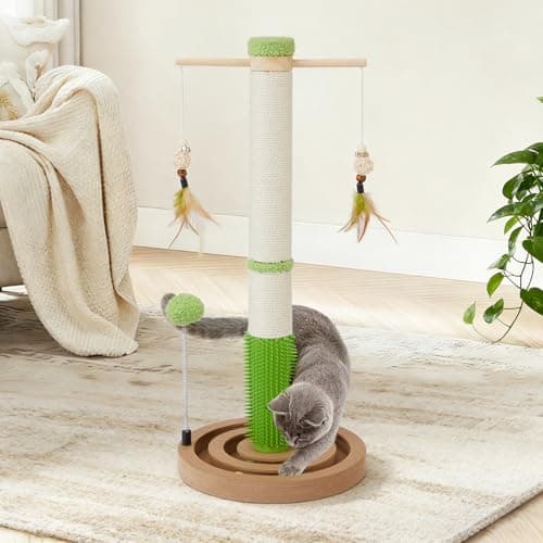 25.79" Tall Cat Scratching Post, Kitten Cat Scratch Post for Indoor Cats with Hanging Feather Toys, Grooming Brush and Double Interactive Wooden Balls Track, Small Cat Scratching Post