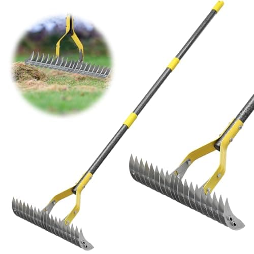 Thatch Rake, 2-in-1 Lawns Manual Dethatcher with Adjustable Head, 70" Heavy Duty Metal Dethatching Rake Garden Tools, 19-Tooth Sharp Blade for Yard Dead Grass, Moss Removal, Soil Loosening