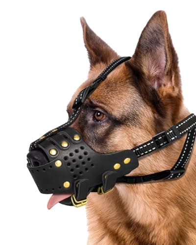 MIDOG Leather Dog Muzzle for Medium Dogs, Breathable & Adjustable, Black, M