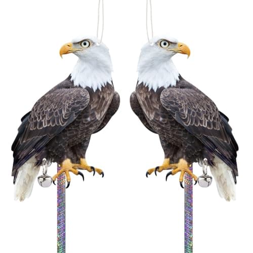 OffiCreative Plastic Hawk to Scare Pigeon Away from Porch, 2PCS Fake Hawk