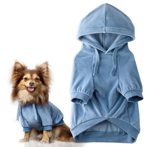 Pet Passion Cooper II Dog Hoodie, Faded Denim, XX-Small