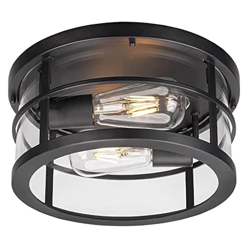 Darkaway Flush Mount Ceiling Light, 11.6 Inch Industrial Ceiling Light Fixture Outdoor Indoor Close to Ceiling with Clear Glass Shade for Hallway Balcony Porch Kitchen Living Room 2-Light