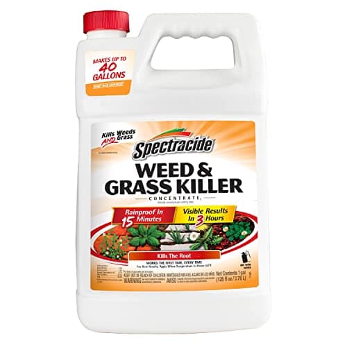 Spectracide Weed & Grass Killer Concentrate for Driveways & Walkways, 1 Gal
