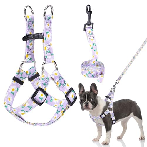BEAUTYZOO No Pull Dog Harness and Leash Set - Adjustable Step-in Puppy Harness for Small Medium Large Dogs, Escape Proof Soft Nylon Vest with Double D Ring for Walking Running Training, Purple M