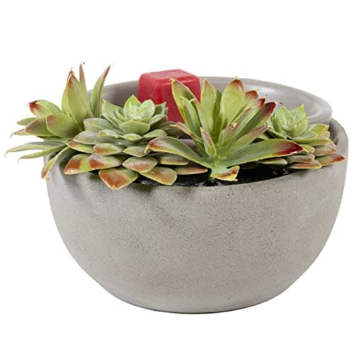 ScentSationals Succulent Bowl - Boho Wax Warmer for Scented Wax Melts