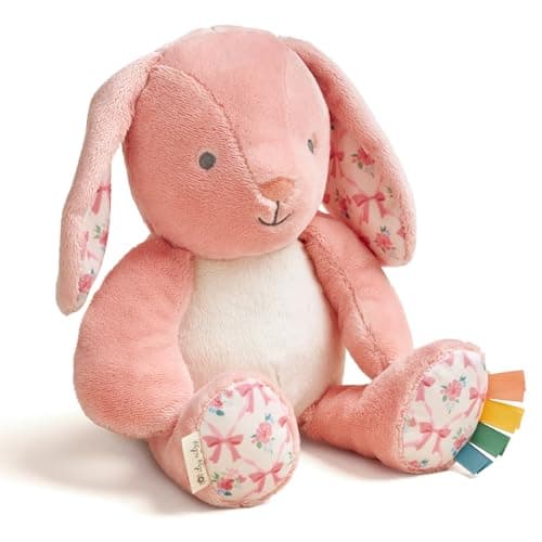 Itzy Ritzy Snuggles Plush Toy, Soft Stuffed Animal for All Ages, Pink Bunny