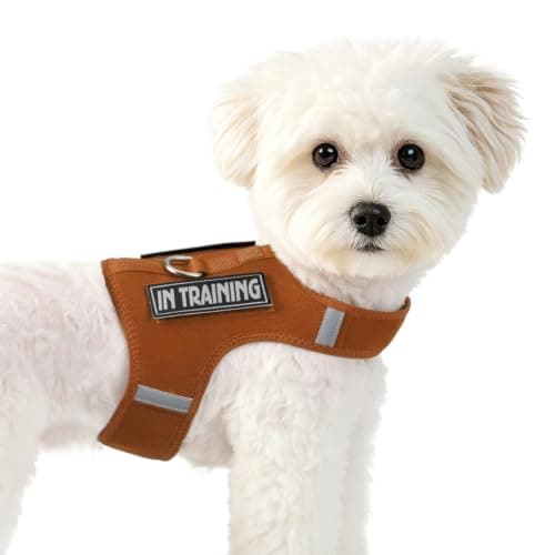 Sunraymascota Cat Harness Dog Puppy Vest with 2 Patches for Small Sized Pet