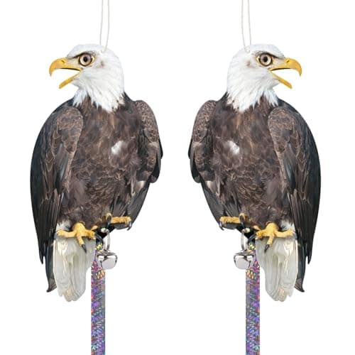 OffiCreative 2PCS Flat Plastic Hawk to Scare Pigeon Away from Balcony