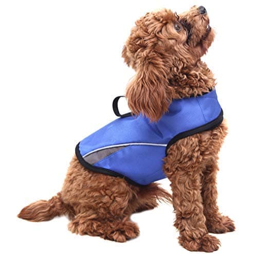 WINBATE Dog Anxiety Jacket- Keep Calmig Vest Thunder Coat with D-Ring and Training Handle for Small Dogs(Blue)