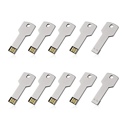 RAOYI 32GB Metal Key USB 2.0 Flash Drive Bulk,10-Pack, Silver