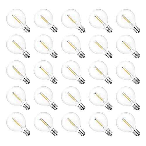 Jslinter G40 Outdoor String Light Replacement Bulbs, 2200K, 25-Pack