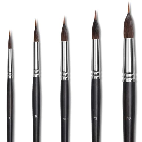Dancart 5 PCS Watercolor Brushes for Detail Painting, Natural & Mink Hair Blend, Round Pointed Tips, Birch Wood Handle (#4/8/10/12/18) (Black)