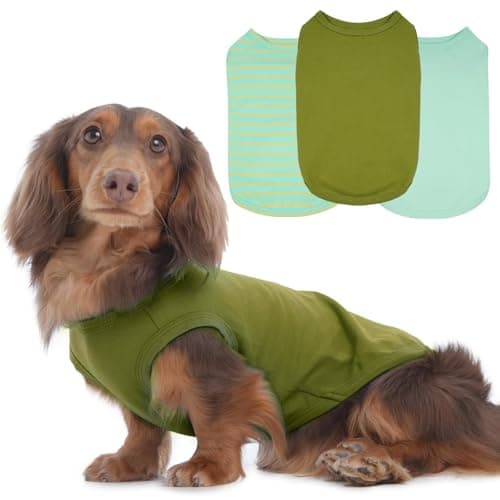 3 Pack Green Striped Dog T-Shirt for Small Dogs,Medium Sleeveless Lightweight Tee Shirt for Summer Outdoor Wearing Spring Picnic Sun Protection,Spring Colors Clothes,Dachshund(Green,M)
