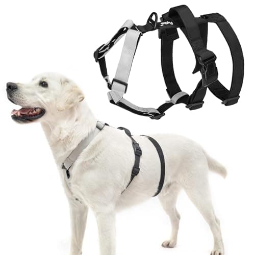 PUPTECK Escape Proof Dog Harness - No Pull Soft Padded Full Body Pet Halter Harness with Lift Handle for Small Medium Large Doggies Walking Hiking Hunting, SnowWhite & Black, XL