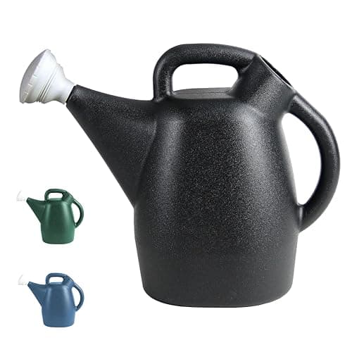 Chapin 2-Gallon Watering Can, Drip-Free Spout for Clean Pour