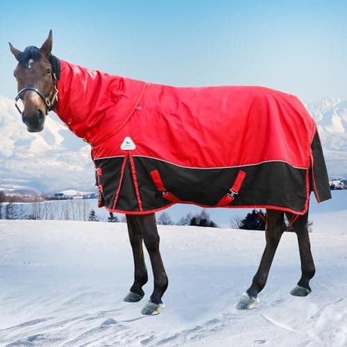 Surcingle Turnout Blankets for Horse,1680D Winter Water-Resistant HorseTrunout Sheets, 300g Warm Polyester Filling Liner, Medium Weight with Turnout Neck Cover Detachable (US 78 in/EU 145 cm)