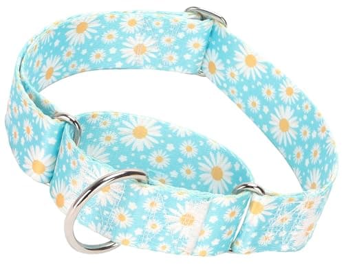 Martingale Dog Collar for Large Breed Heavy Duty Grade Nylon Dog Collars