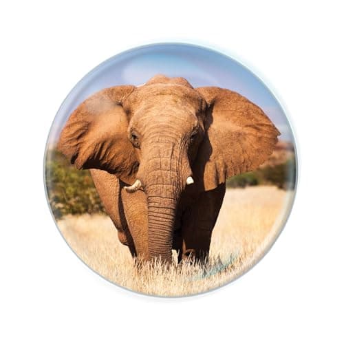 Magnidome - Elephant Fridge Magnet from Deluxebase. Cute Crystal Glass Dome Magnet for Refrigerator, Whiteboard and Locker. Unique Animal Gift for Office and Home Decor