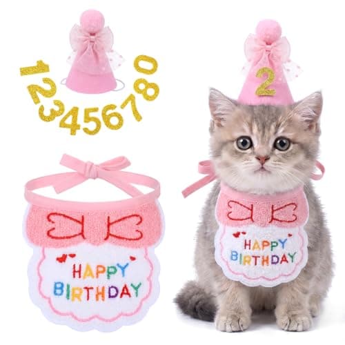 Cat Birthday Party Supplies Cat Birthday Outfit