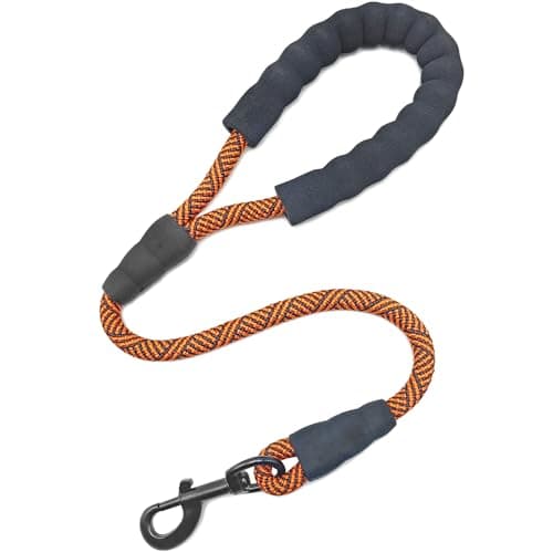 Mycicy 2FT Dog Leash, Training & Walking Leash with Soft Handle for Small Medium Large Dogs, Strong Nylon Rope Lead for Obedience Control- (1/2in Orange)