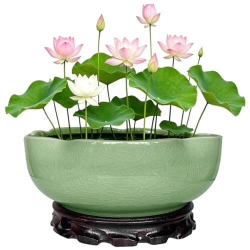 MUZHI Lotus Flower Bowl Planter for Water Lily Seeds 8", Elegant Hole-Free Ice Crack Hydroponic Pink Lotus Plant Bowl Pot with Stand