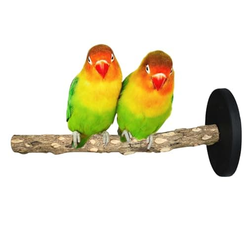 Bird Stand Perch Toy, Double Layer Spinning Parakeet Toys Exercise Wheel Cockatiel Toy for Cages Wooden Perchs for Small & Medium Birds Cage Accessories for Parakeets Lovebirds Conures (Black)