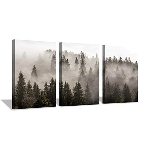 Foggy Forest Canvas Wall Art Misty Pine Trees 16"x12"x 3 Panels