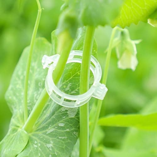 Secured Plastic Plant Clip, Plant Support Clips, Garden Clips for Climbing Plants, Plastic Trellis Clips Plant Support Clips Tomato Grape Vine Vegetables Plant Fixing Clips (100, White)
