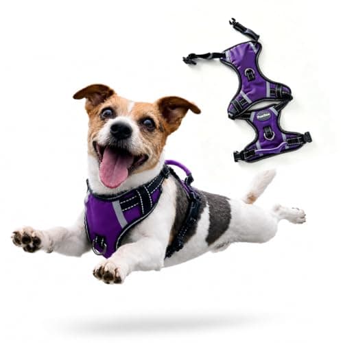 Puwihoe Small Dog No Pull Harness with 2 Quick Release Buckles & Easy Control Handle, Reflective No-Choke Soft Vest with Front & Back Clips for Walking and Training, Purple, S