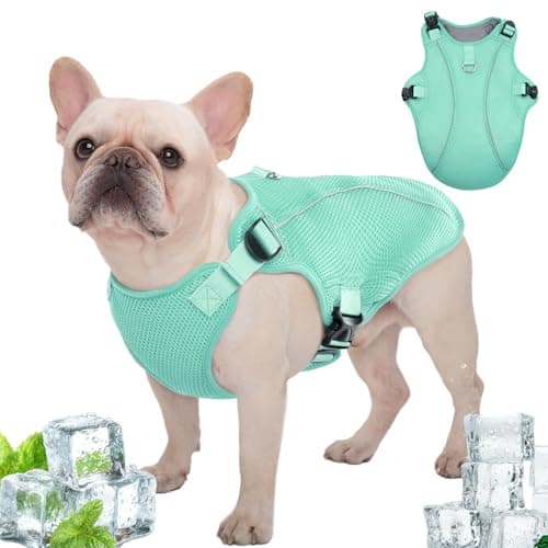 Kuoser Dog Cooling Vest Harness, Small Dog Cooler Jacket with Sun Protection, Adjustable Buckle for Outdoor Beach, Hiking, Training Green S