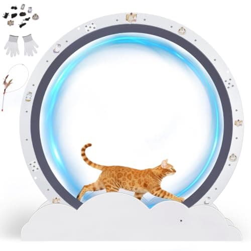 GTPLAYER Cat Wheels, Large Cat Exercise Wheel for Indoor Cats, 40" Diameter cat Treadmill Detachable Carpet & Teaser, Stickers, Ultra-Quiet Scroll Wheel with Latch, Metal, White Wave