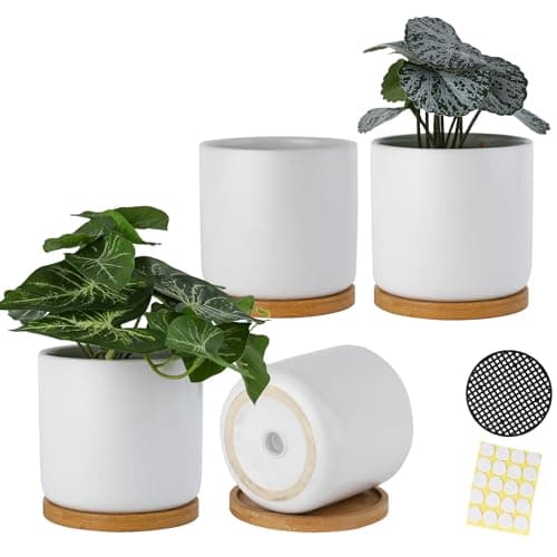 BABALIU 4 Inch Ceramic Plant Pots with Drainage Holes and Trays, Adorable Small Cylinder Flower Planter Pot with Saucers for Indoor Plants, Succulent, Snake Plants, Cactus & Herbs, White, Set of 4