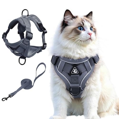 Cat Harness and Leash Set, Upgraded Escape Proof Adjustable Vest with Lead for Kitten Puppy Outdoor Walking, Soft Breathable Mesh Jacket with Reflective Strips for Dark Night, M, Gray