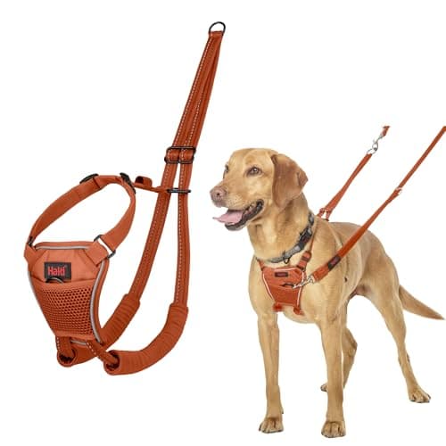 Halti No Pull Harness - Stop Your Dog Pulling on The Leash. Adjustable, Lightweight and Easy to Use. Reflective Dog Training Harness for Medium Dogs (Size M, Burnt Orange)