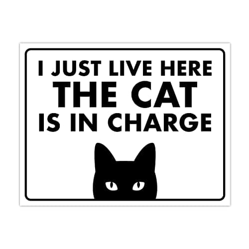 ENVISIONED Signage - I Just Live Here, The Cat is in Charge - Funny Sign, Laminated - 8.5" x 11" - Home Decor, Gift for Cat Lovers